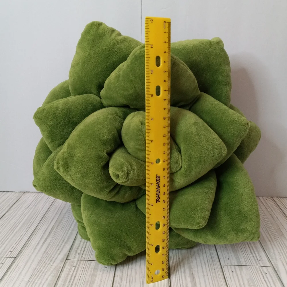 Green Philosophy Succulent Accent Pillow